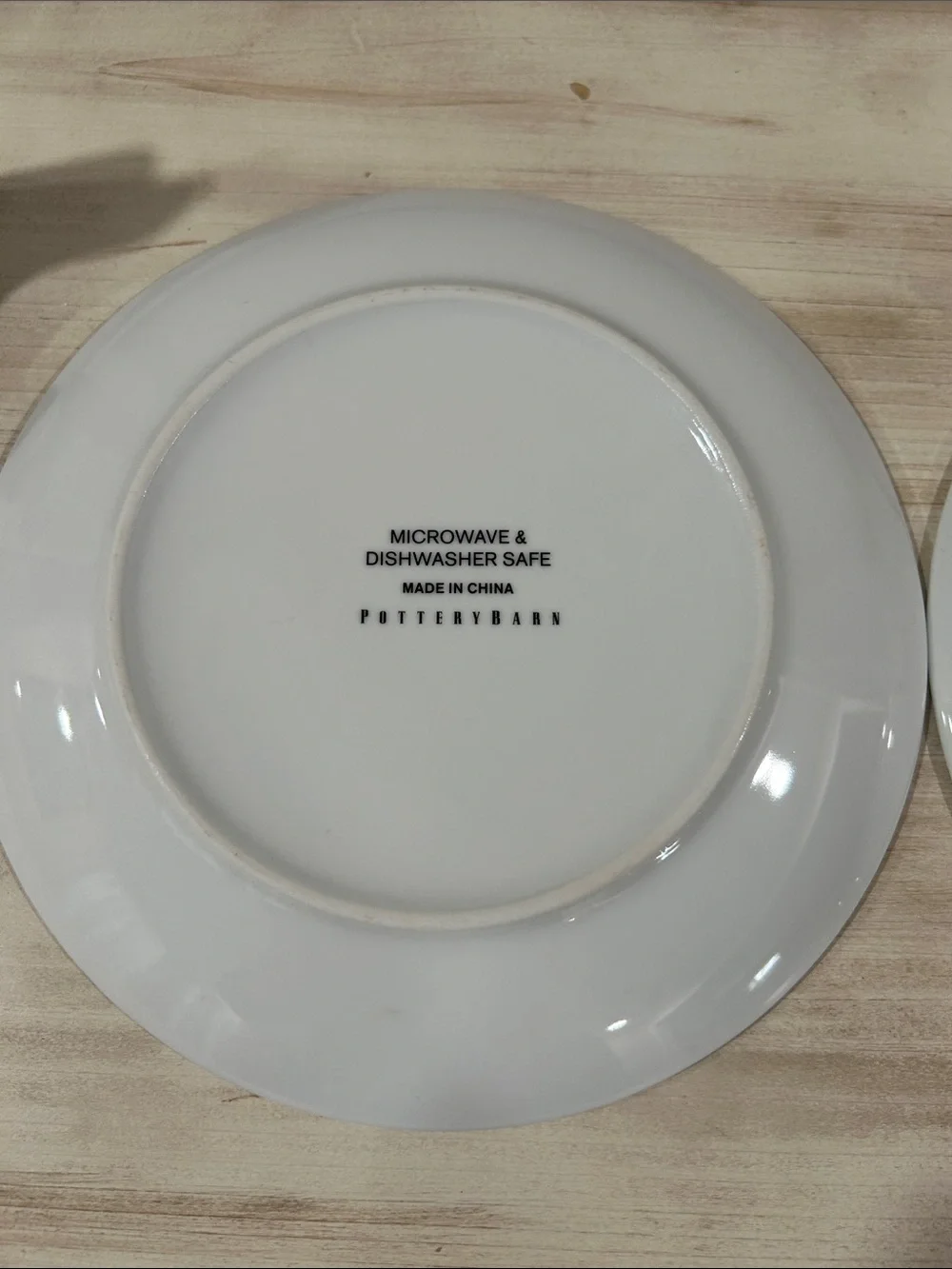 Pottery Barn-Coastal Curiosity Plate- Fall Colors/Compass Rose